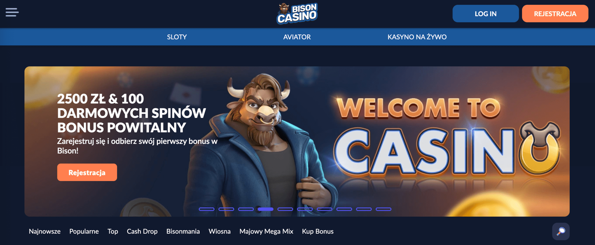 Bison home page
